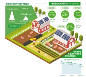 猪肉价格为何跌跌不休：消费低迷、养殖亏损等