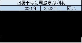 5家上市险企2022年表现如何？谁家最赚钱？