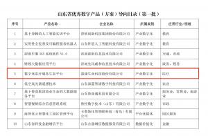 盈康生命数字化平台入围山东省优秀数字产品导向目录